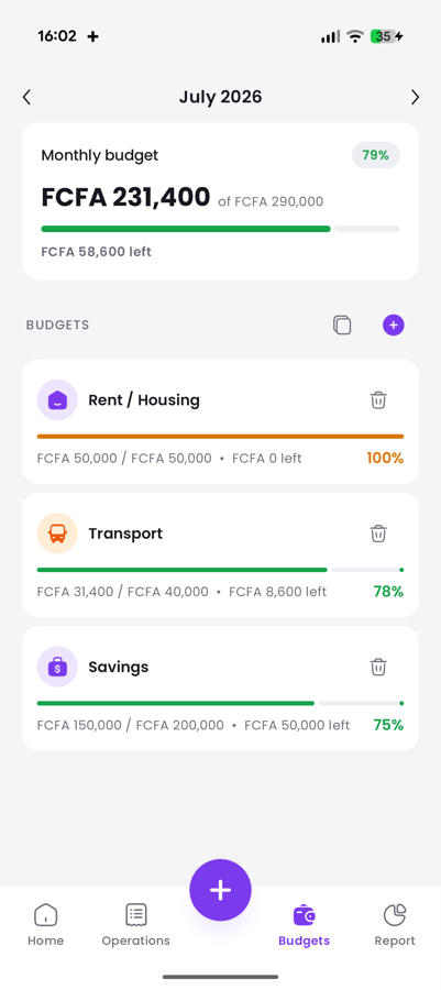 Budgets with their progress bars